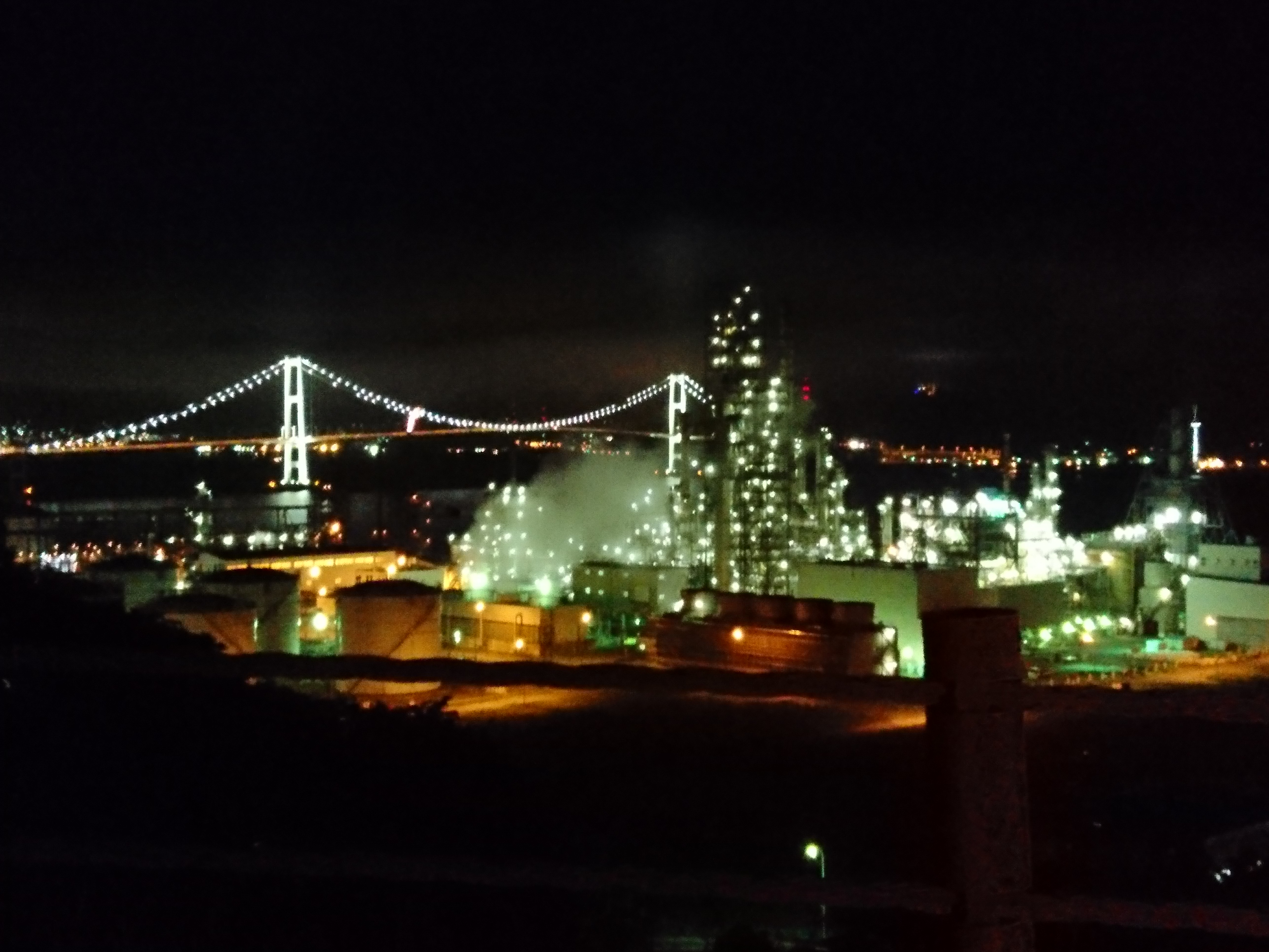 広い港を回りながら次の一手を考える夜のイメージ