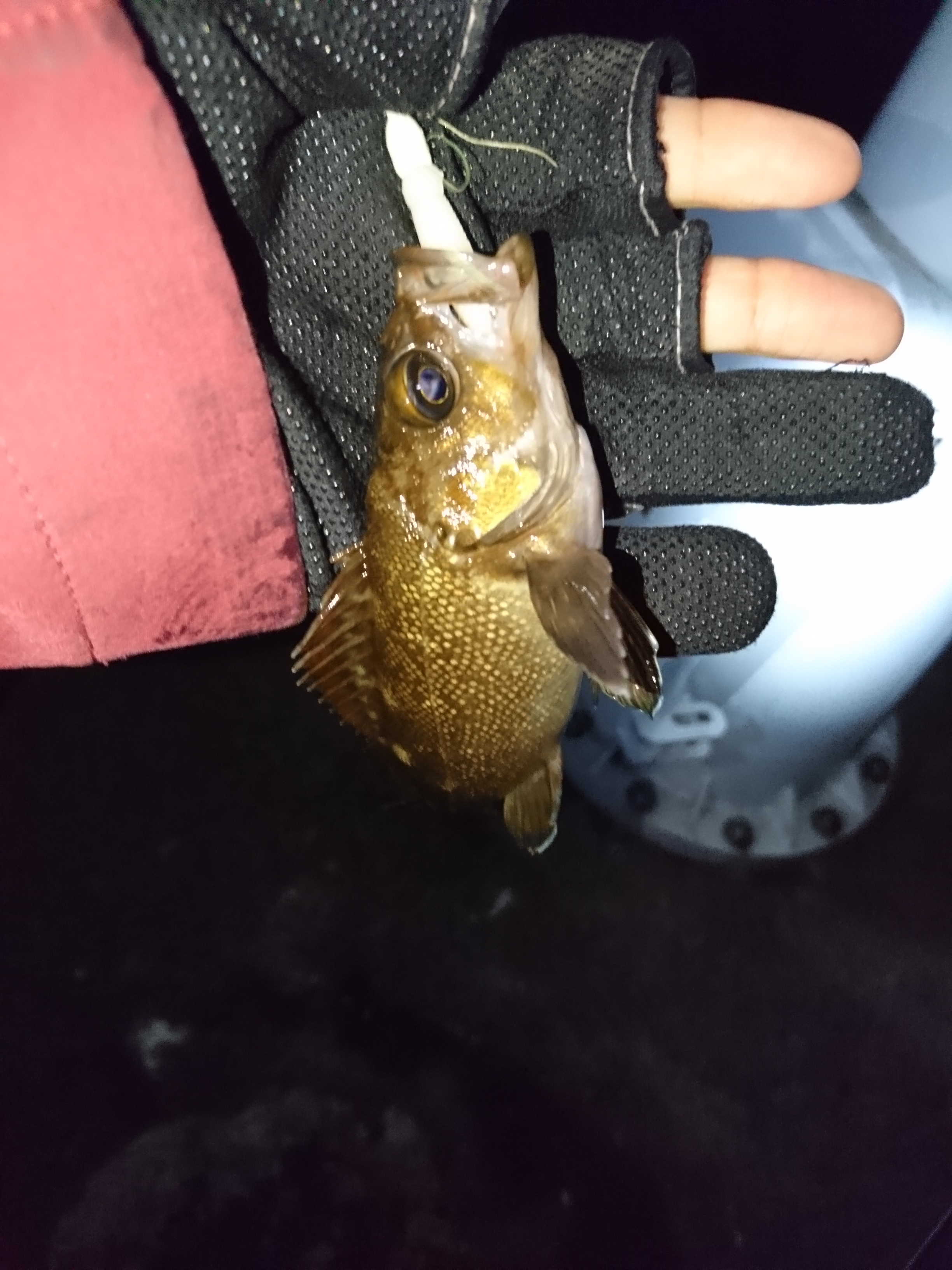 室蘭側の港で壁際と常夜灯の差を読むイメージ