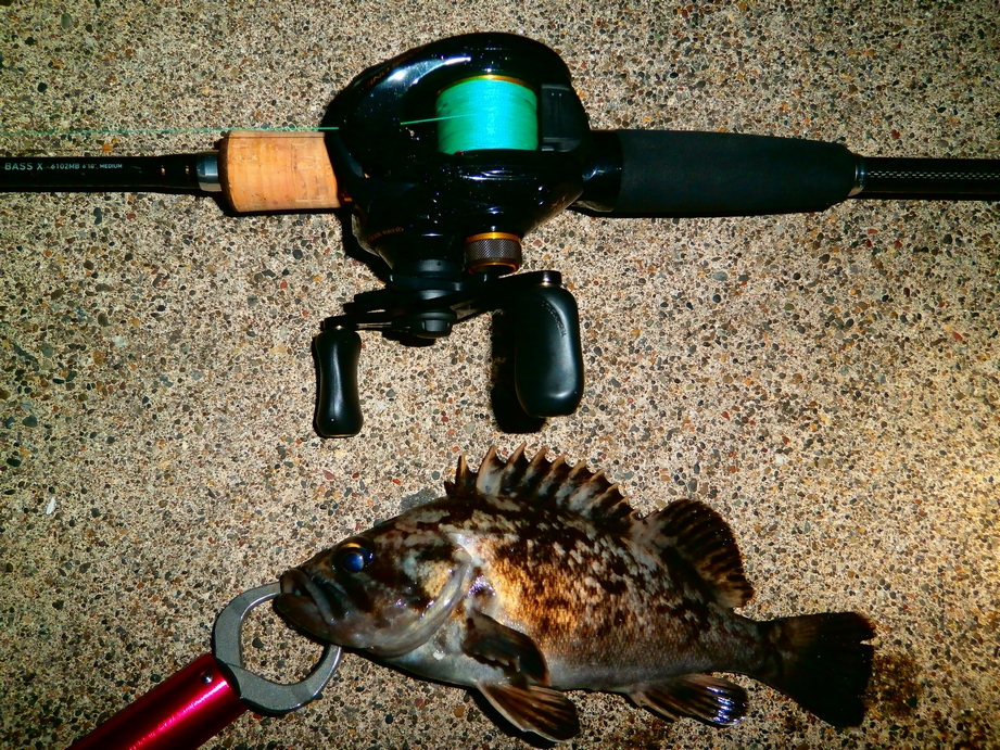 夜の港でライフジャケットと足元確認を徹底するイメージ