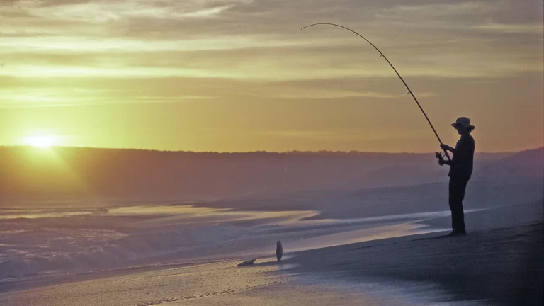 エゾロックフィッシュ　ルール　アイキャッチ